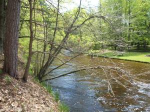1225 N Apple Dr, White Cloud, MI 49349 photo 4