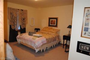 228 Parsonage, Saranac, MI 48881 photo 5