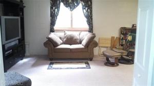 228 Parsonage, Saranac, MI 48881 photo 14