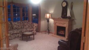 228 Parsonage, Saranac, MI 48881 photo 16