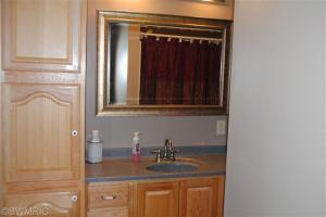 228 Parsonage, Saranac, MI 48881 photo 9