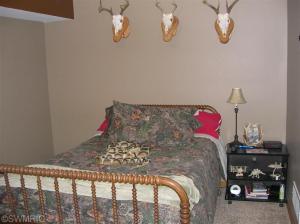 55037 Baer, Mendon, MI 49072 photo 22