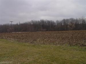 1115 Holmes, Bronson, MI 49028 photo 16