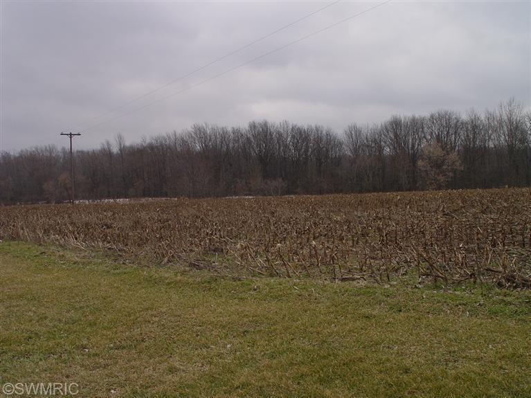 1115 Holmes, Bronson, MI 49028 photo 17