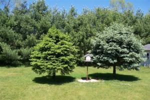 18046 Sixth Ave, Three Rivers, MI 49093 photo 13