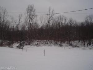 6750 Keyes, Bellevue, MI 49021 photo 3