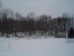 6750 Keyes, Bellevue, MI 49021 photo 4