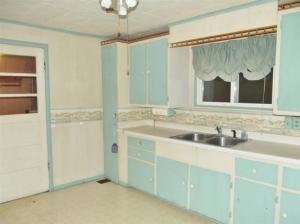 9151 S Bird Lake Rd, Osseo, MI 49266 photo 3