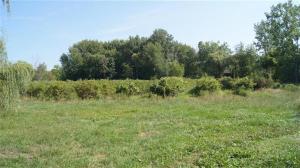929 57th St, Pullman, MI 49450 photo 4