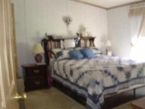 923 S Constantine, Three Rivers, MI 49093 photo 8