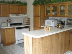 923 S Constantine, Three Rivers, MI 49093 photo 3