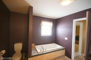 14150 Belding Rd NE, Belding, MI 48809 photo 10