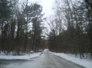 8347 Bradley Rd, Belding, MI 48809 photo 2