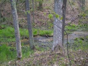 11009 N Java Rd, Irons, MI 49644 photo 2