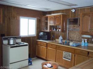 11009 N Java Rd, Irons, MI 49644 photo 5