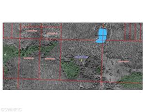11009 N Java Rd, Irons, MI 49644 photo 4