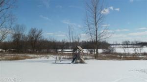 6683 Seeley Rd, Belding, MI 48809 photo 5