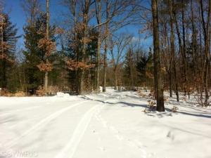 7675 E Yonker Rd, Hesperia, MI 49421 photo 22