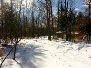 7675 E Yonker Rd, Hesperia, MI 49421 photo 15