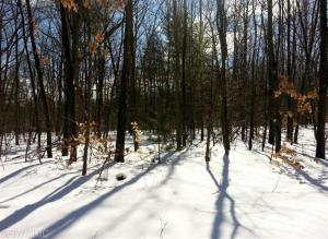 7675 E Yonker Rd, Hesperia, MI 49421 photo 20