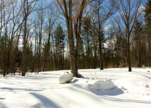 7675 E Yonker Rd, Hesperia, MI 49421 photo 21