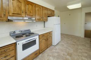16552 Barnard Ave, Three Rivers, MI 49093 photo 8