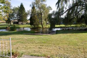 4741 Channel Dr NW, Stanton, MI 48888 photo 13