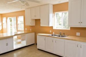 4741 Channel Dr NW, Stanton, MI 48888 photo 5