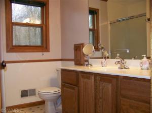 1385 Ab Ave W, Plainwell, MI 49080 photo 17