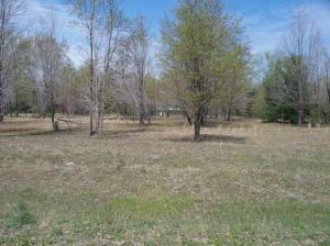1150 E Clock Rd, Hart, MI 49420 photo 13