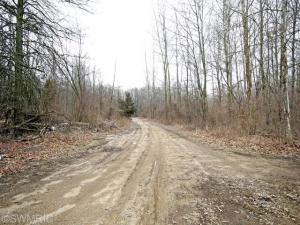 21767 Pinhook Rd, Mendon, MI 49072 photo 4