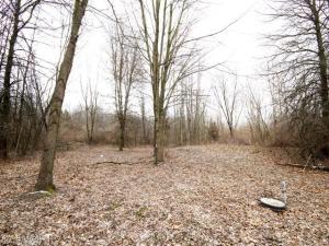 21767 Pinhook Rd, Mendon, MI 49072 photo 6