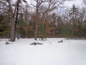 5362 E 48th St, Newaygo, MI 49337 photo 19