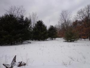 5362 E 48th St, Newaygo, MI 49337 photo 5