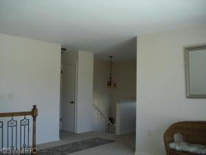 1031 Lowe Dr, Marshall, MI 49068 photo 15