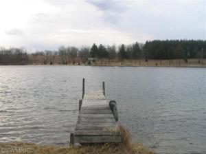 9530 Lakeview Dr, Jerome, MI 49249 photo 3
