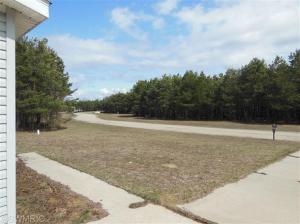 456 Sophia Way, Pullman, MI 49450 photo 9