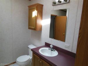 456 Sophia Way, Pullman, MI 49450 photo 4