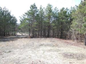 456 Sophia Way, Pullman, MI 49450 photo 8