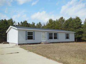 456 Sophia Way, Pullman, MI 49450 photo 1