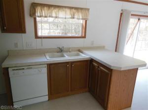 456 Sophia Way, Pullman, MI 49450 photo 7