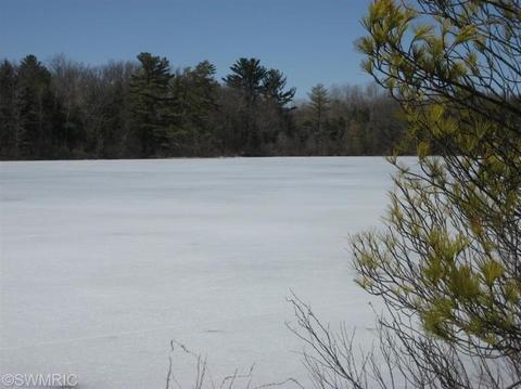 5803 S Circle Blvd, Baldwin, MI 49304 photo 4