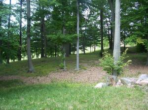 7907 50th Ave, Remus, MI 49340 photo 11