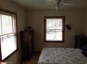208 S Demorest St, Belding, MI 48809 photo 8