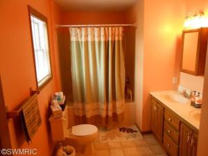 809 Bradford Dr, Belding, MI 48809 photo 17