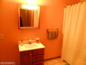 809 Bradford Dr, Belding, MI 48809 photo 18