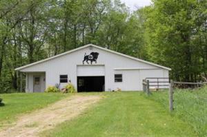 615 E Brown Rd, Freeport, MI 49325 photo 4