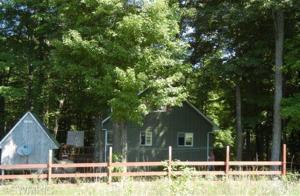 7845 E 48th St, Chase, MI 49623 photo 23