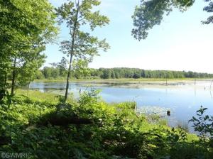5274 E 6 Mile Rd, White Cloud, MI 49349 photo 12