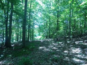 5274 E 6 Mile Rd, White Cloud, MI 49349 photo 14